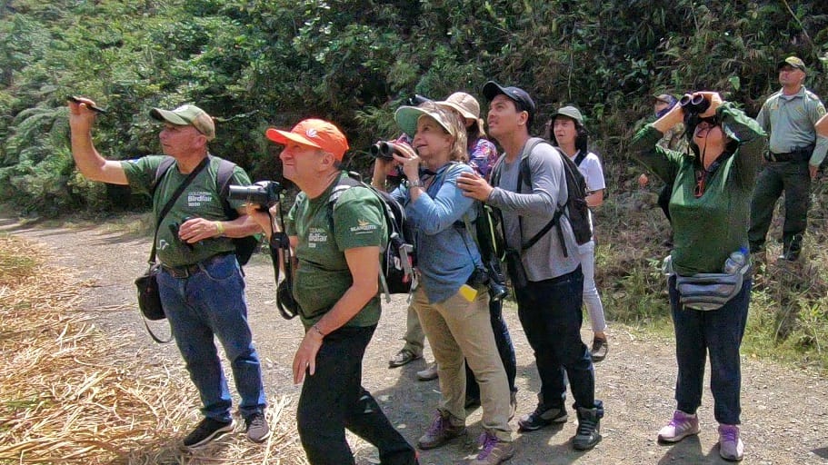 Guianza de avistamiento de aves durante la Birdfair Colombia 2020